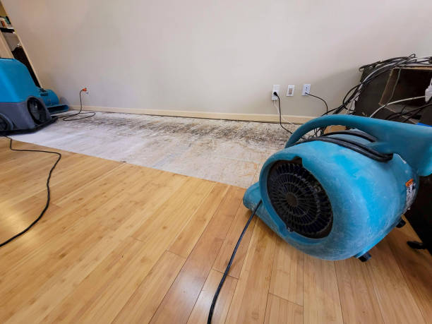 Reliable Basement Flood Cleanup contractor in Foxboro, MA by Hirex Water Damage