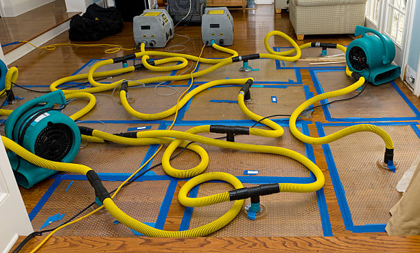 Professional Basement Flood Cleanup technician working in Foxboro, MA